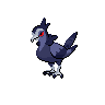 Shadow Tranquill